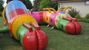 Read more about the article GĄSIENNICA